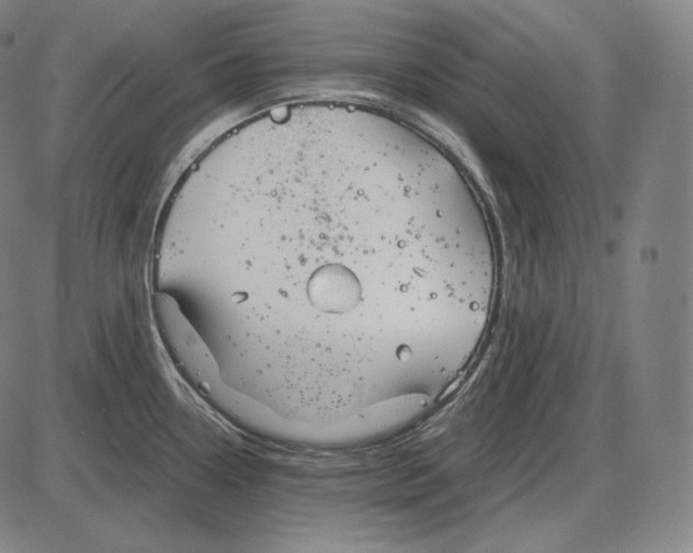 X0000084011338200703161704