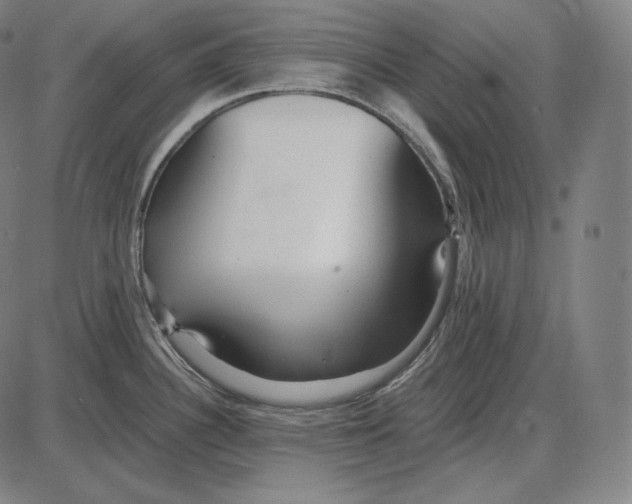 X0000084011340200703161704