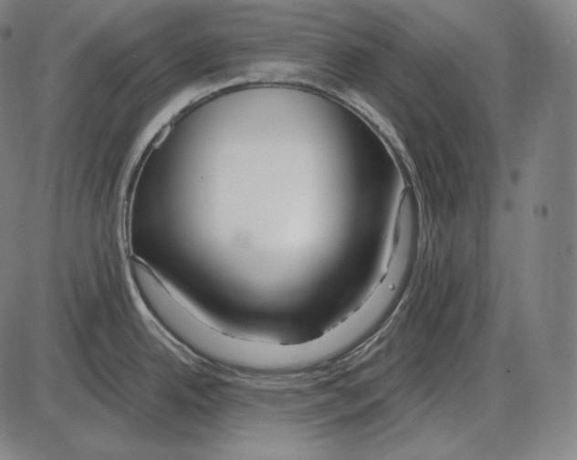 X0000084011342200703161704