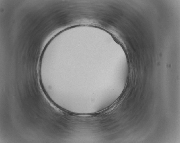 X0000084011343200703161704