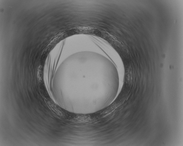 X0000084011346200703161703