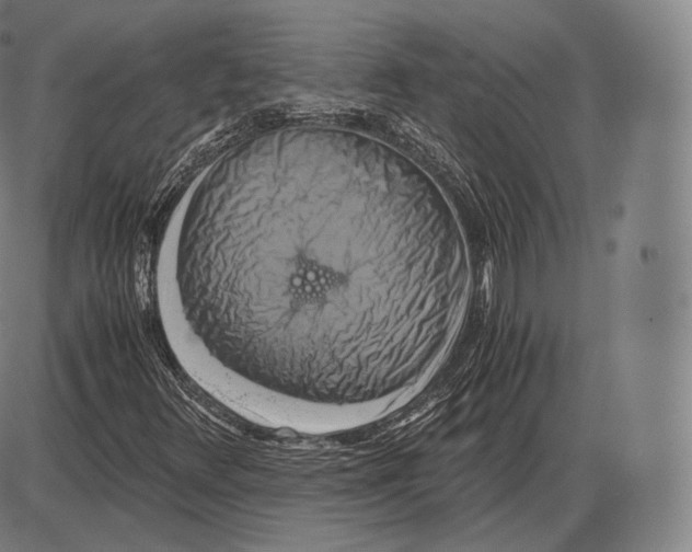 X0000084011348200703161703