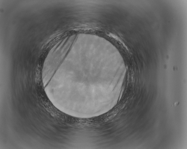 X0000084011350200703161703