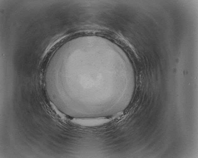 X0000084011352200703161703