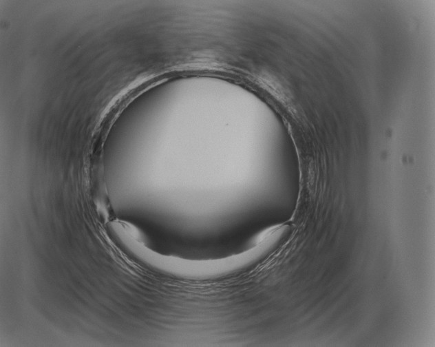 X0000084011356200703161703