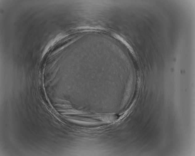 X0000084011357200703161703