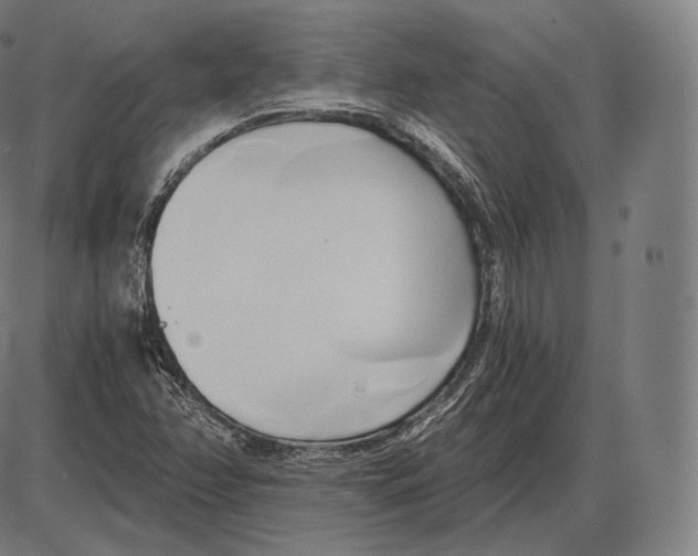 X0000084011358200703161703