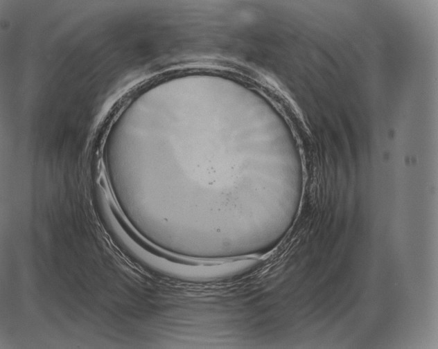 X0000084011360200703161703