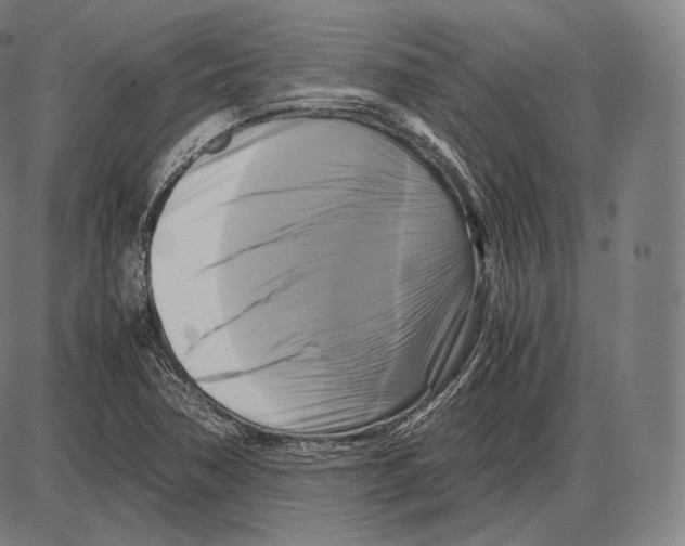 X0000084011362200703161703