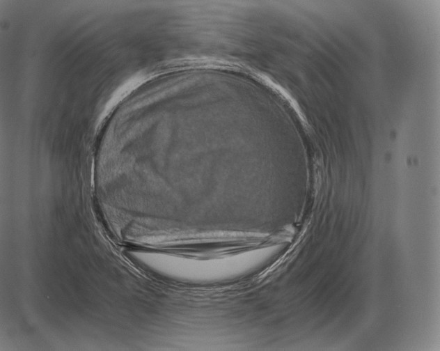 X0000084011365200703161703