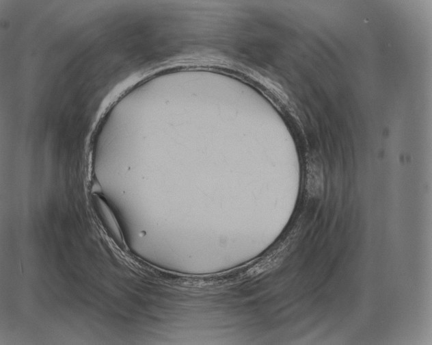 X0000084011366200703161703