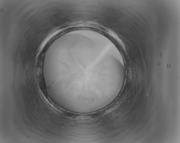 X0000084011368200703161703