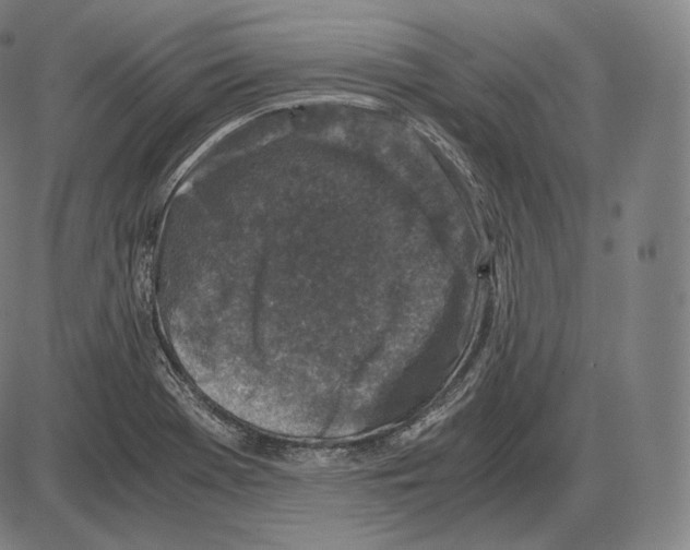 X0000084011369200703161703