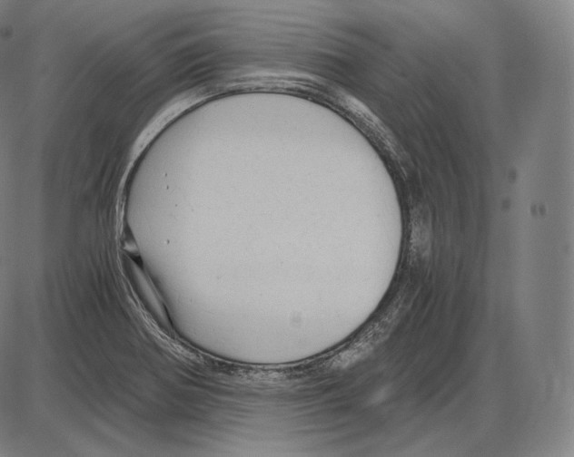 X0000084011370200703161703