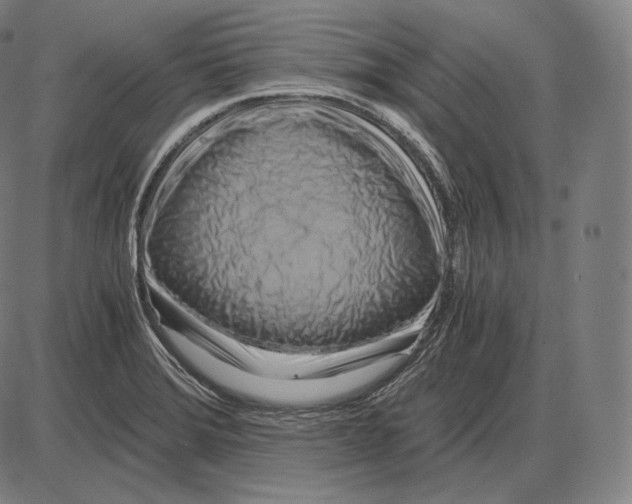 X0000084011372200703161703