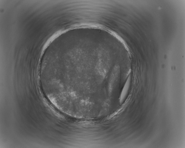 X0000084011373200703161703