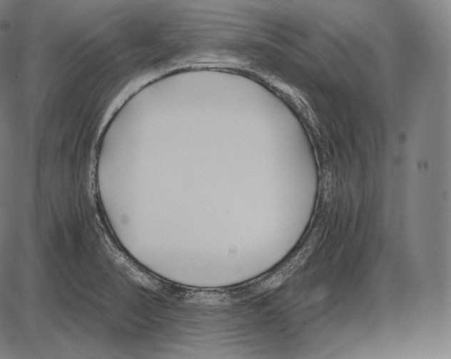 X0000084011374200703161703