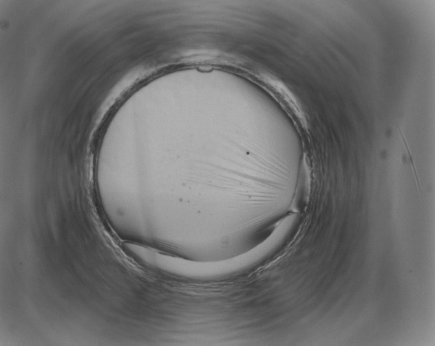 X0000084011376200703161703