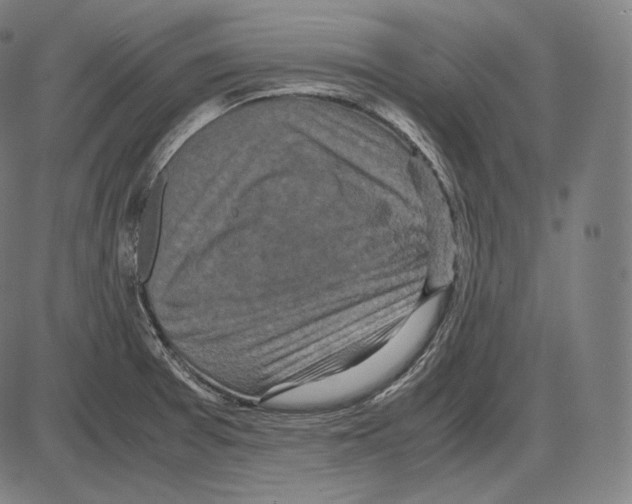 X0000084011377200703161703