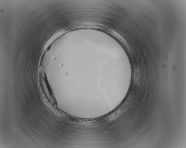 X0000084011378200703161703