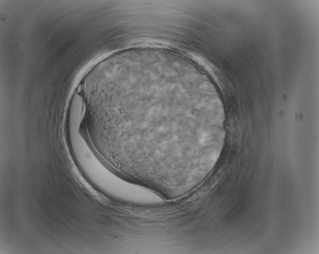 X0000084011379200703161703