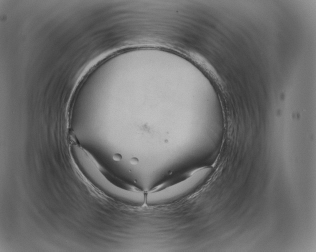 X0000084011380200703161703