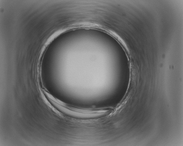 X0000084011381200703161703