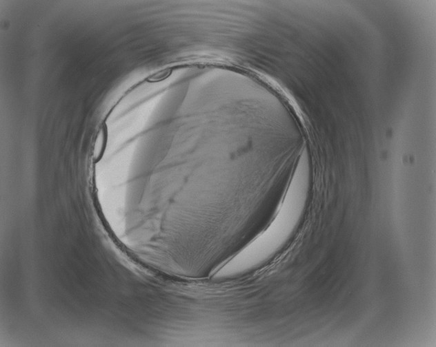 X0000084011383200703161703