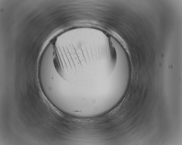 X0000084011384200703161703