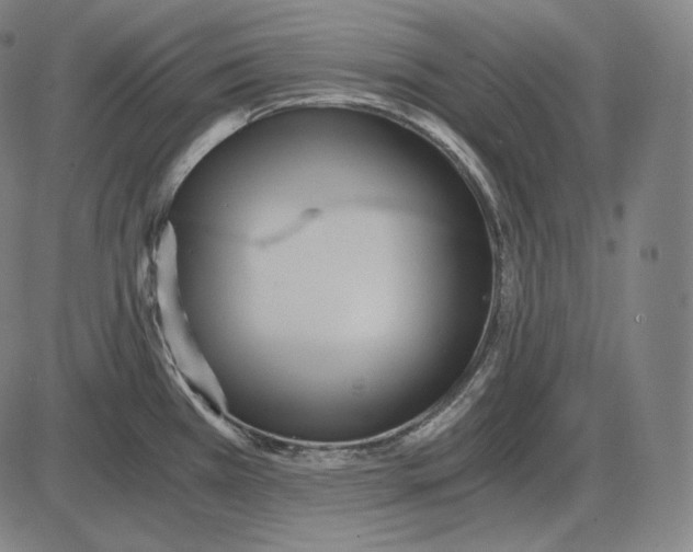 X0000084011385200703161703