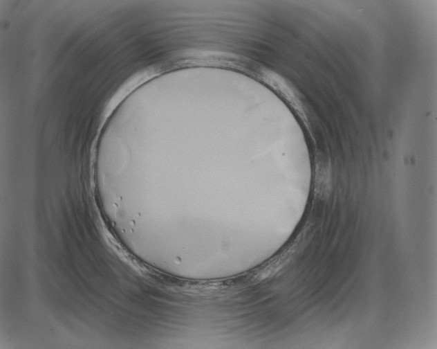 X0000084011386200703161703