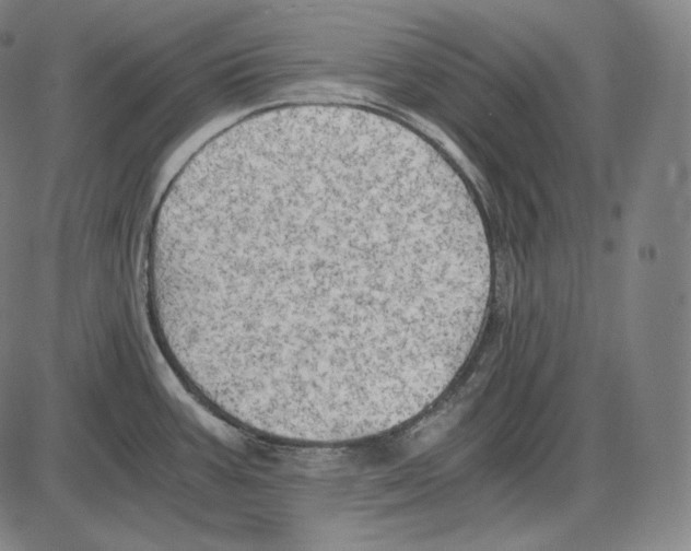 X0000084011387200703161703