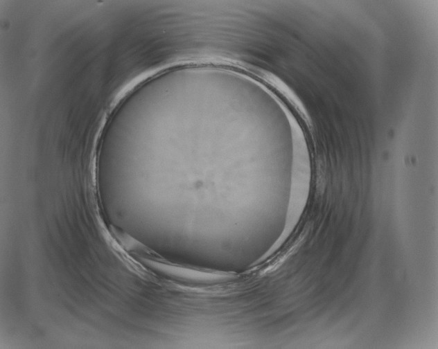 X0000084011388200703161703