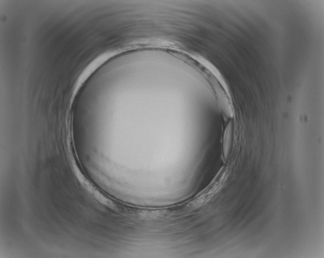 X0000084011389200703161702