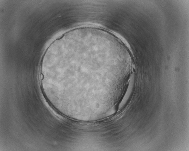 X0000084011391200703161702