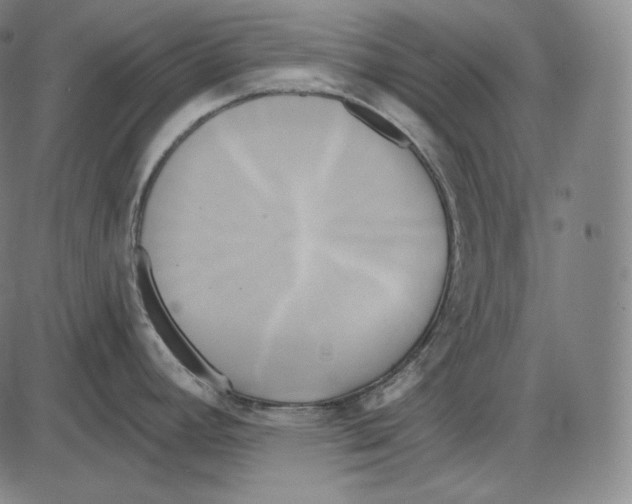 X0000084011392200703161702