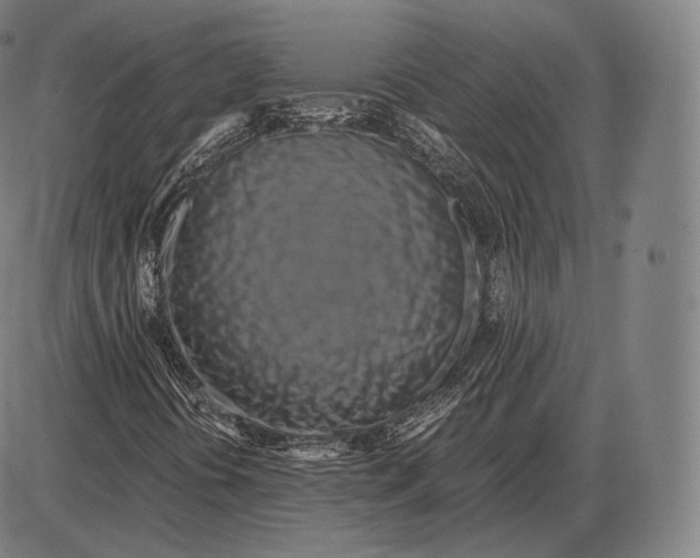 X0000084011394200703161702