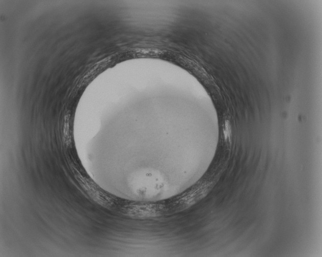 X0000084011396200703161702