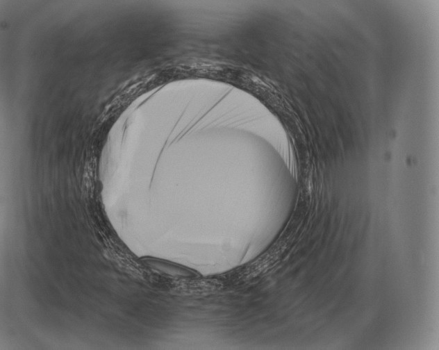 X0000084011397200703161702