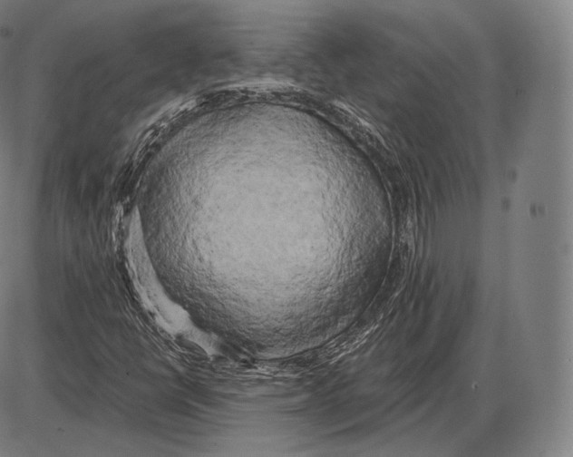 X0000084011398200703161702