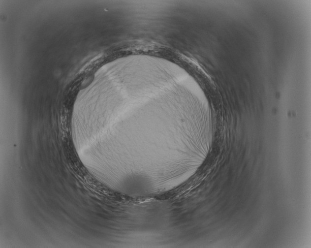 X0000084011399200703161702