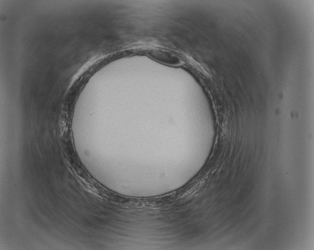 X0000084011400200703161702