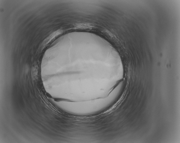 X0000084011401200703161702