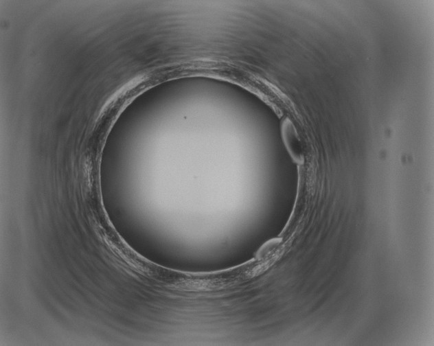 X0000084011402200703161702