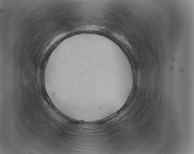 X0000084011404200703161702