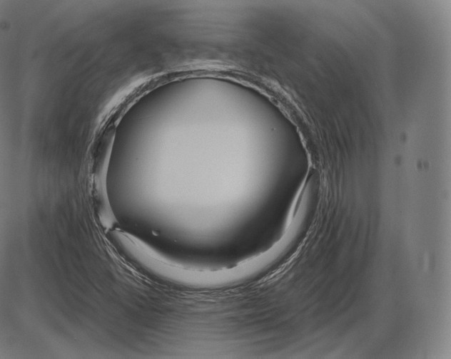 X0000084011406200703161702