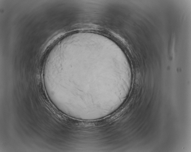 X0000084011407200703161702