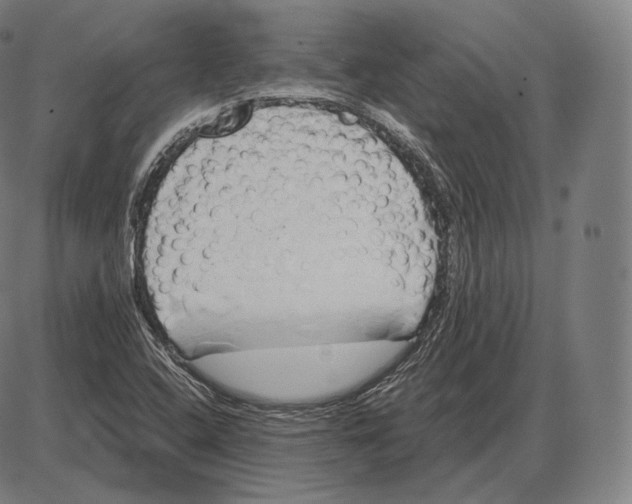 X0000084011408200703161702