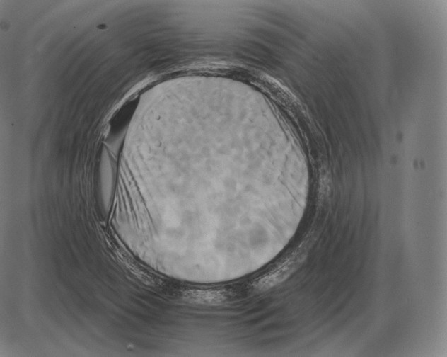 X0000084011409200703161702