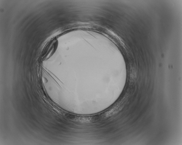 X0000084011411200703161702